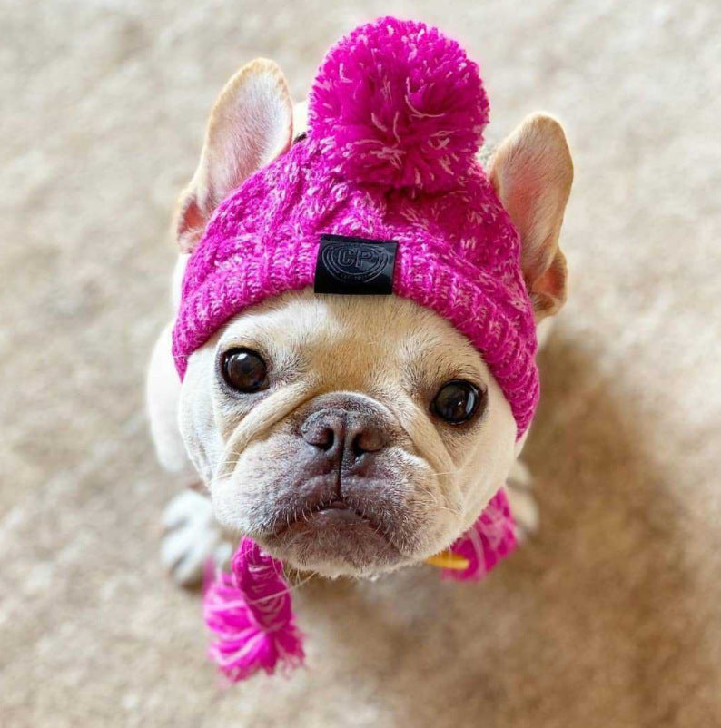 Pet Hat Bago Dog Cat Dog