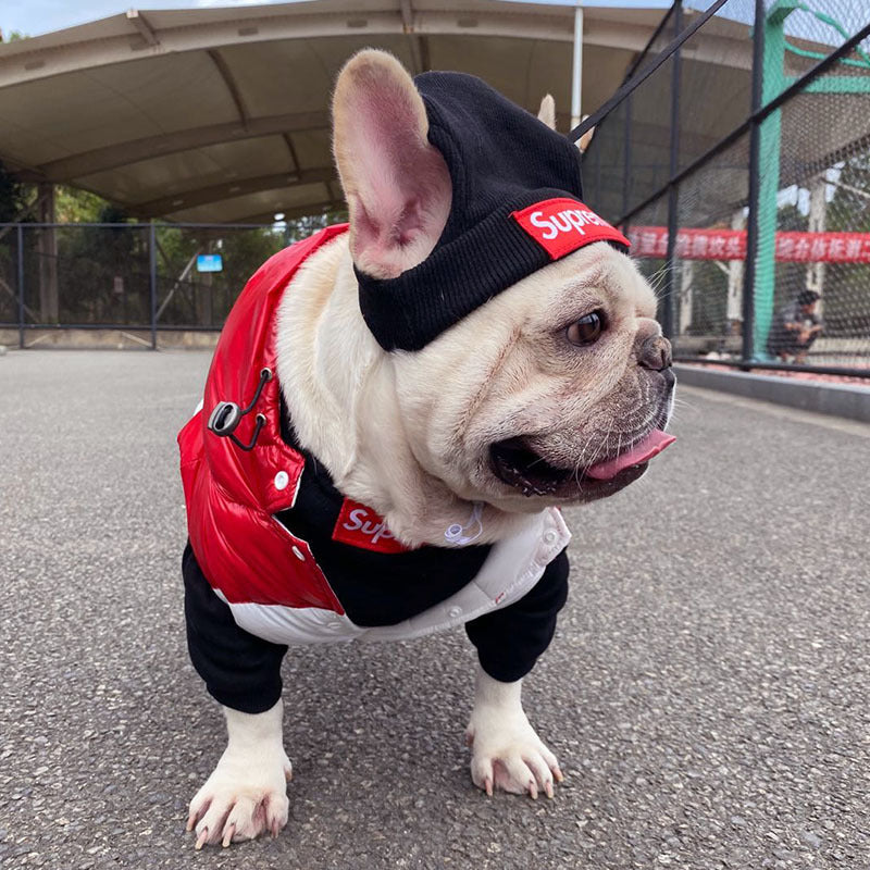 Pet Clothing Trendy Brand Street Dog Clothes Teddy Bottom Coat Hat Set