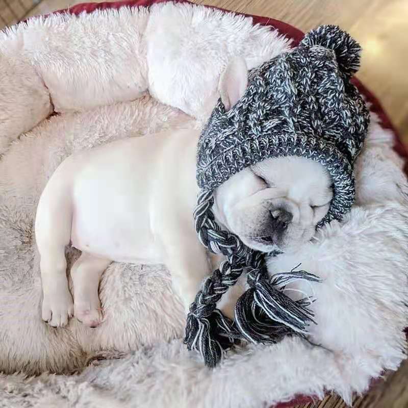 Pet Hat Bago Dog Cat Dog