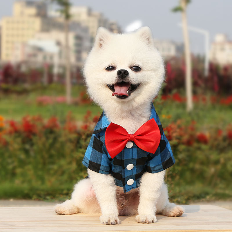 Spring Summer Autumn Dog Shirts  Teddy Bears Pets Cats Clothes Supplies
