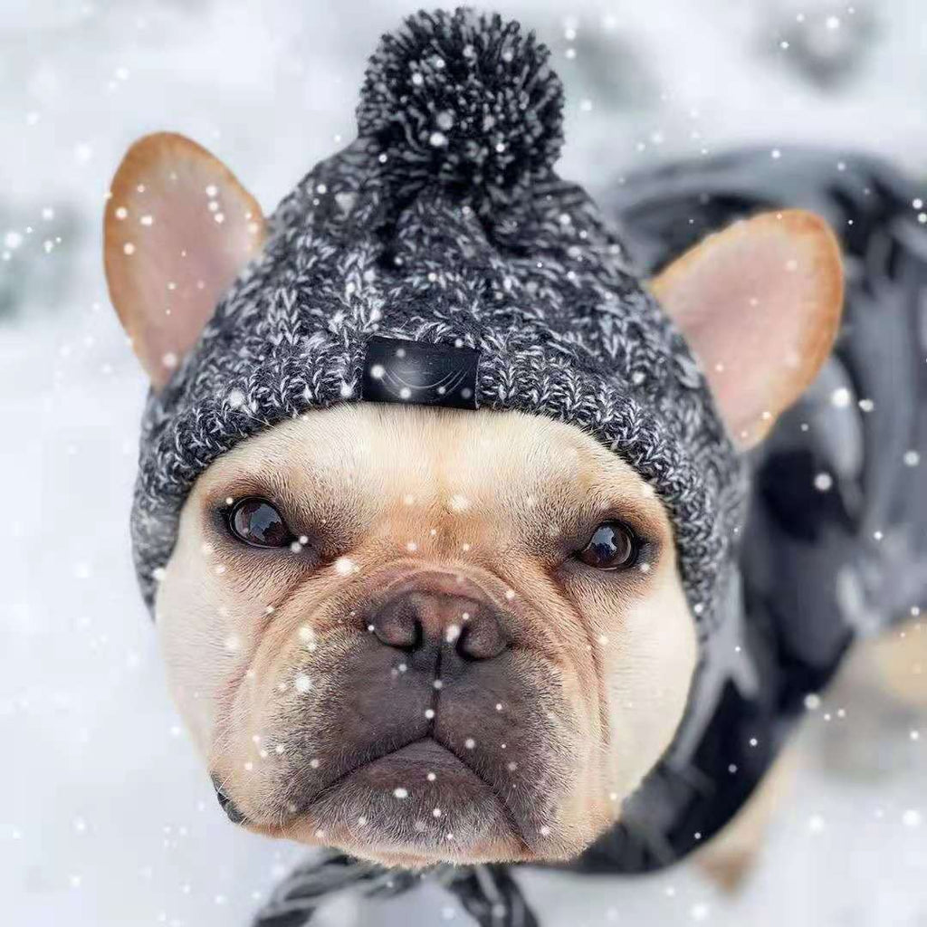Pet Hat Bago Dog Cat Dog