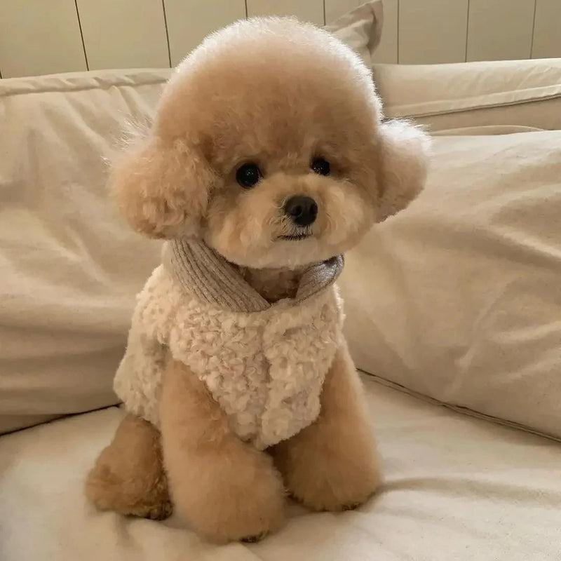 Pet Two-legged with Hat and Coat Fashion Design  Dog Winter Warm Puppy Pet Cotton Clothes Chihuahua Vest