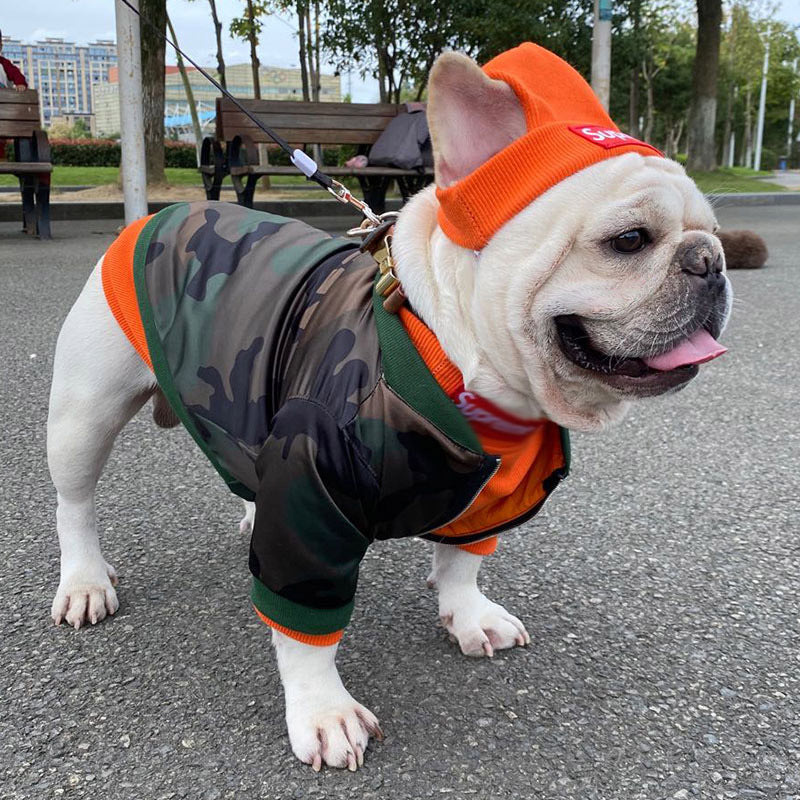 Pet Clothing Trendy Brand Street Dog Clothes Teddy Bottom Coat Hat Set