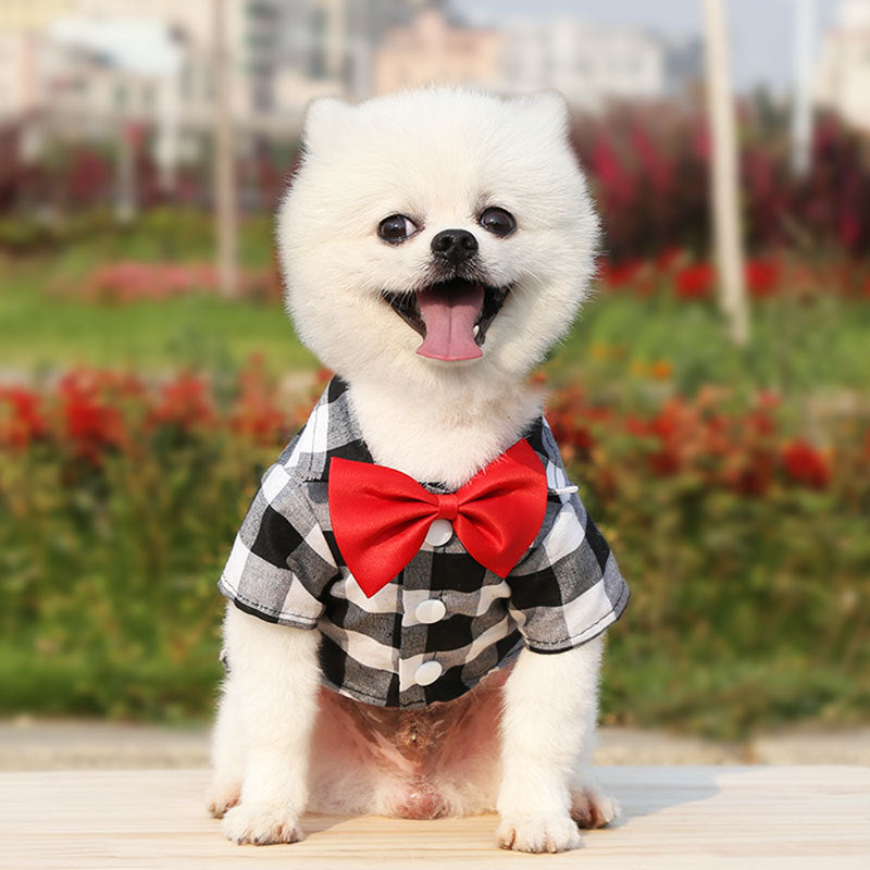 Spring Summer Autumn Dog Shirts  Teddy Bears Pets Cats Clothes Supplies
