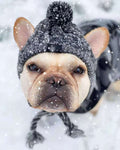 Pet Hat Bago Dog Cat Dog