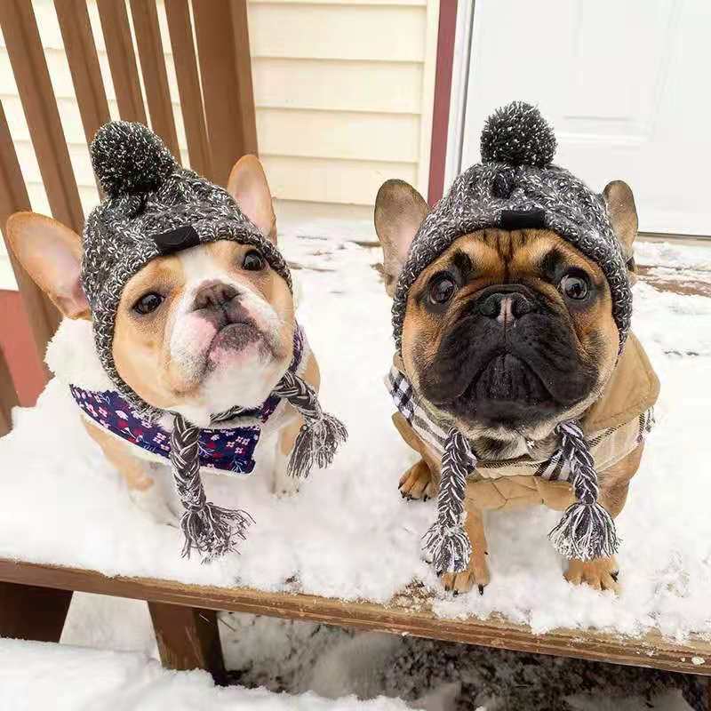 Pet Hat Bago Dog Cat Dog