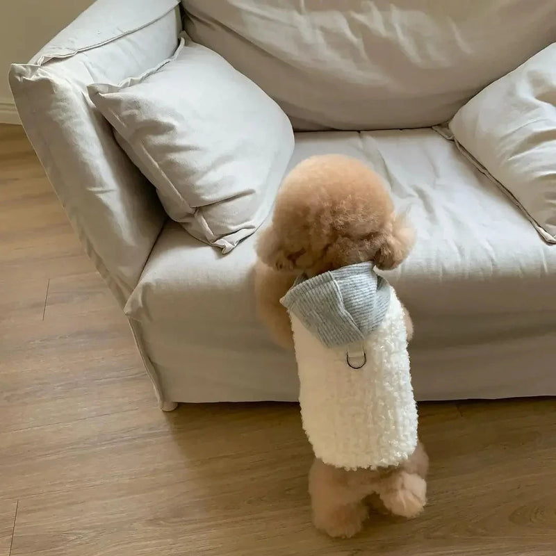 Pet Two-legged with Hat and Coat Fashion Design  Dog Winter Warm Puppy Pet Cotton Clothes Chihuahua Vest