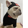 Pet Clothing Trendy Brand Street Dog Clothes Teddy Bottom Coat Hat Set